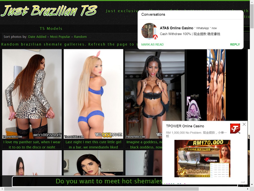 Just Brazilian TS | Just exclusive galleries of the hottest transsexuals with stories and captions to stimulate your imagination as well as your body.